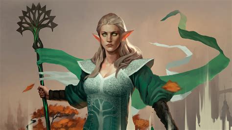 elves 5e